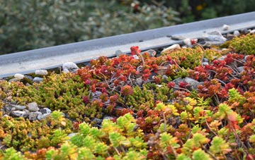 the cost of Graiselound green roof installation