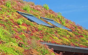Graiselound living roof systems