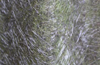 Graiselound fibreglass roof work